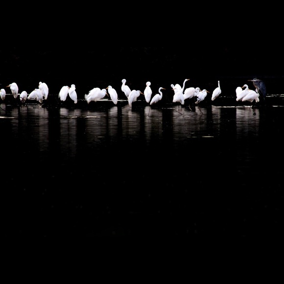 Meet your Posher, Gifted - Picture 5 of 7